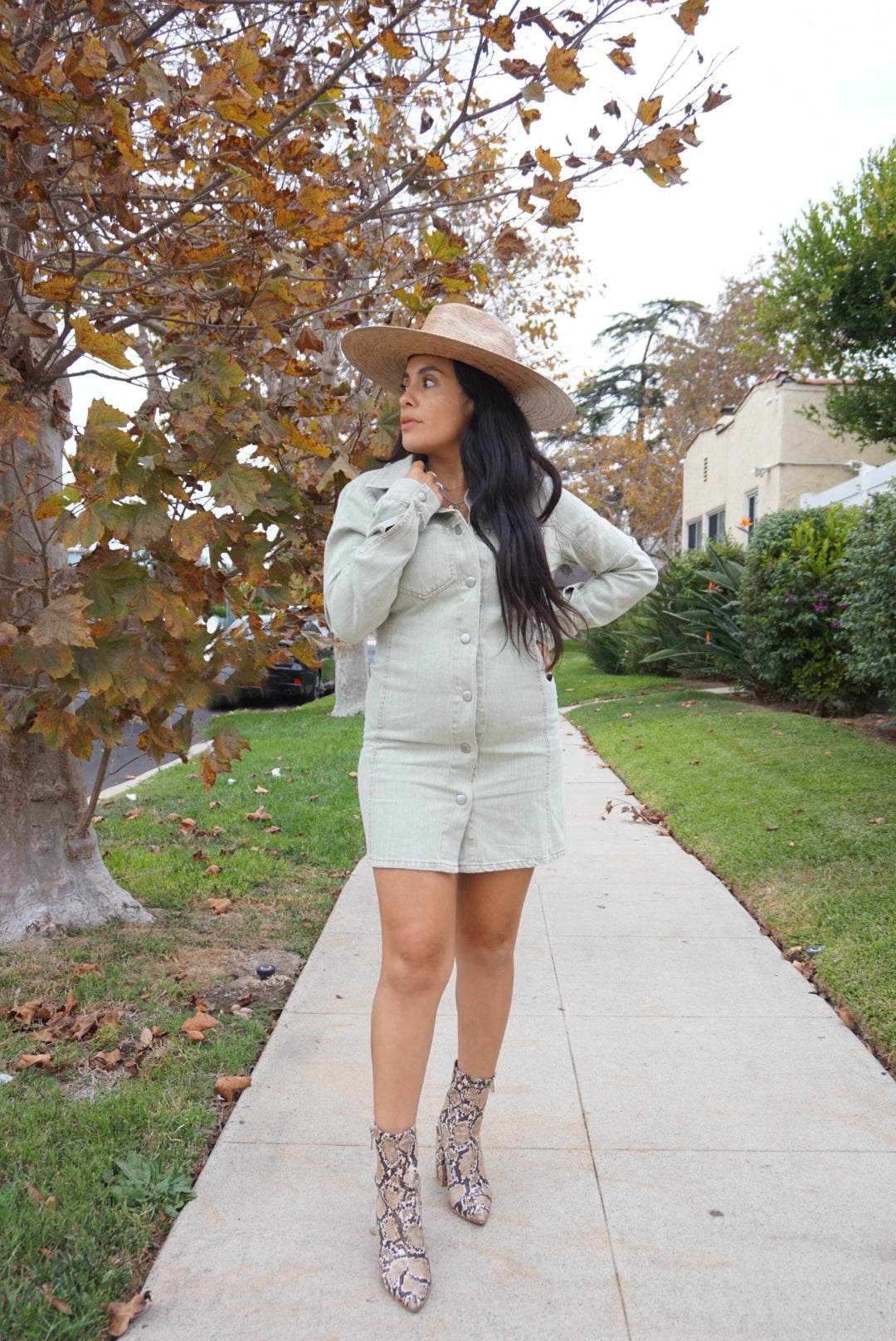 Confident Denim Dress