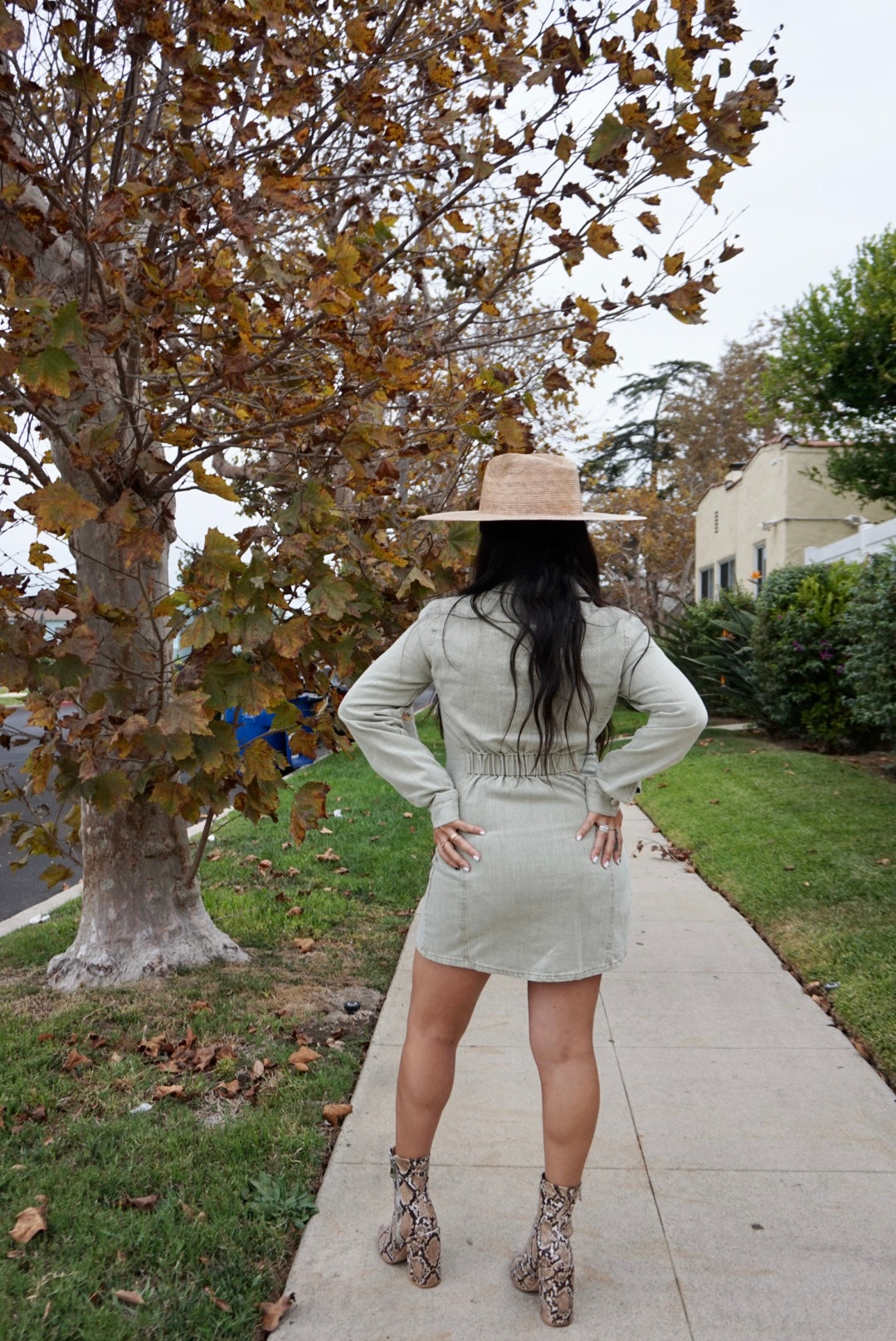 Confident Denim Dress