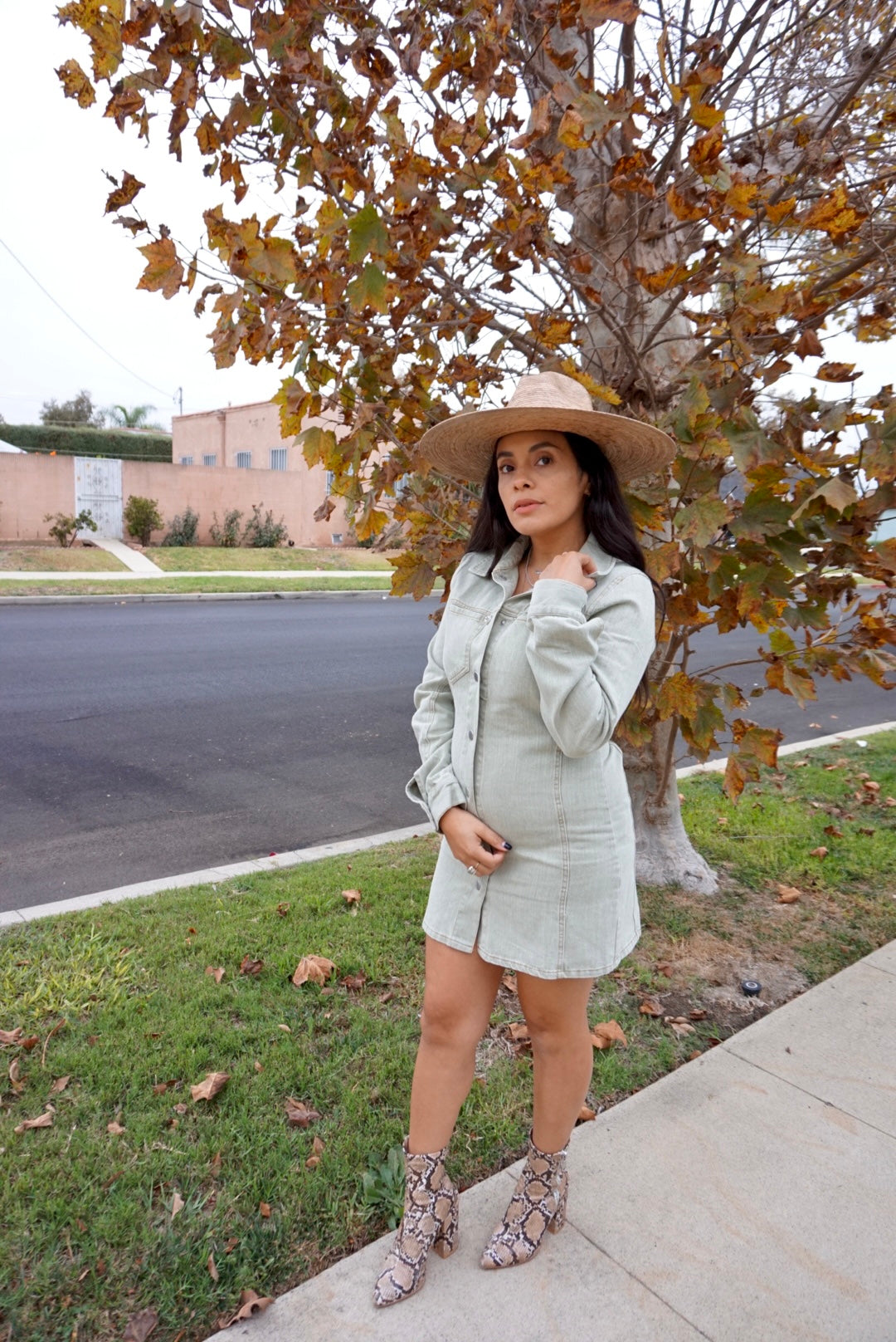 Confident Denim Dress